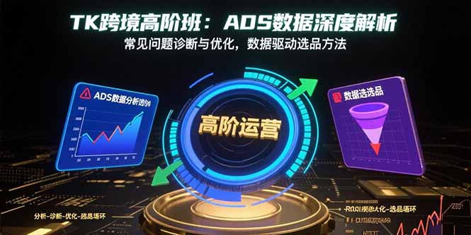 TK跨境高阶班：ADS数据深度解析，常见问题诊断与优化，数据驱动选品方法-老K资源网