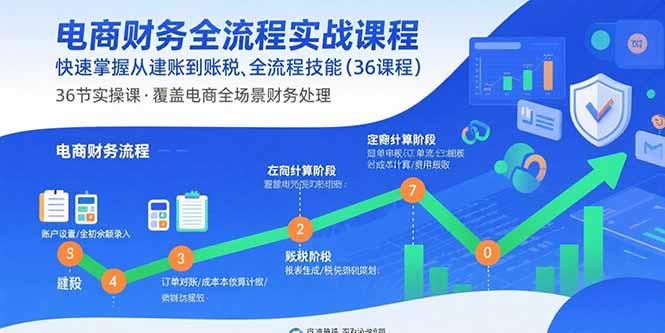电商财务全流程实战课程：快速掌握从建账到报税的全流程技能（36节课）-老K资源网