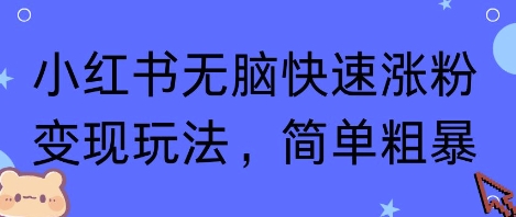 小红书无脑快速涨粉变现玩法，简单粗暴-老K资源网
