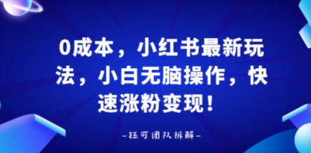 0成本，小红书最新玩法，小白无脑操作，快速涨粉变现-老K资源网
