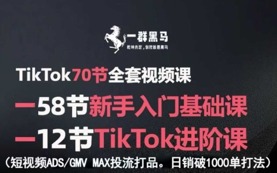 TikTok全套视频课，新手入门+进阶课，短视频ADS-GMV MAX投流打品，日销破1000单打法-老K资源网
