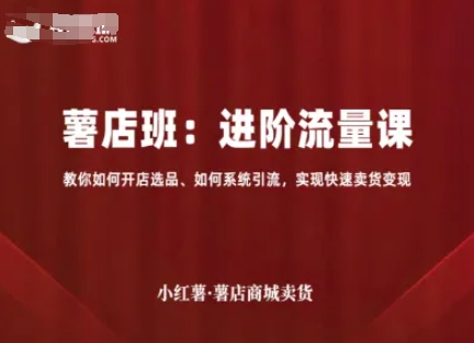 小红薯薯店商城卖货，进阶流量课，教你如何开店选品、如何系统引流，实现快速卖货变现-老K资源网