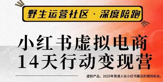 小红书虚拟电商14天变现训练营3.0，虚拟产品，2025年普通人在小红书最后的搞钱机会-老K资源网