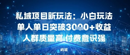 私域项目新玩法：小白玩法单人单日突破1k收益人群质量高付费意识强-老K资源网