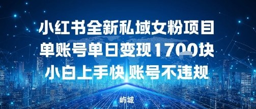 小红书全新私域女粉项目单账号单日变现多张，小白上手快账号不违规建议准备多账号操作-老K资源网
