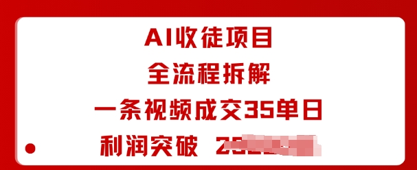 AI收徒项目全流程拆解一条视频成交35单日利润突破1k+-老K资源网