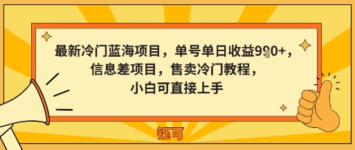 最新冷门蓝海项目，单号单日收益多张，信息差项目，售卖冷门教程，小白可直接上手-老K资源网