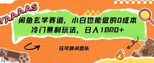 闲鱼玄学赛道，小白也能做的0成本冷门暴利玩法，日入多张-老K资源网