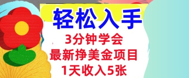 最新挣美金项目，日入5张，3分钟学会，小白轻松入手（长久的被动收入）-老K资源网