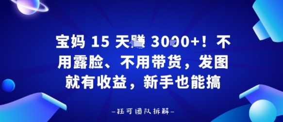 宝妈15天賺3k+！不用露脸、不用带货，发图就有收益，新手也能搞-老K资源网