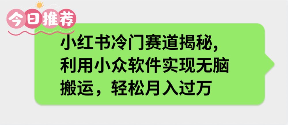 小红书冷门赛道揭秘,利用小众软件实现无脑搬运，轻松月入过万-老K资源网