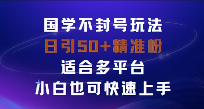 国学赛道不封号玩法，日引50+精准粉适合多平台，小白也可快速上手-老K资源网