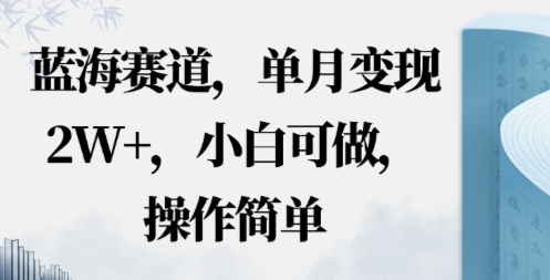 蓝海赛道，小红书私域项目，单月变现2W+，小白可做，操作简单-老K资源网