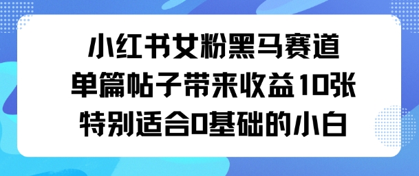 小红书女粉黑马赛道单篇帖子带来收益10张特别适合0基础的小白-老K资源网