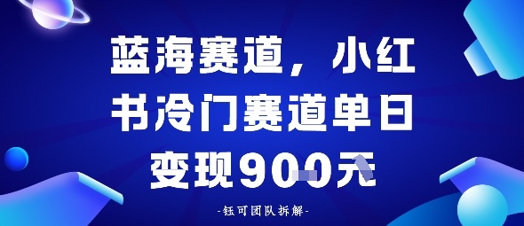 小红书冷门蓝海赛道，0成本，单日变现多张-老K资源网