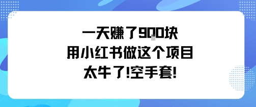 一天挣了9张用小红书做这个项目太牛了，空手套-老K资源网