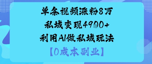 单条视频涨粉8W私域变现1k+利用AI做私域玩法-老K资源网