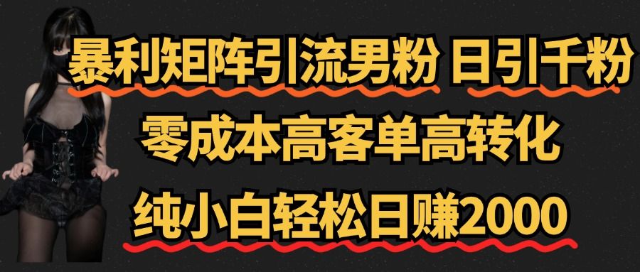 暴利矩阵引流男粉（日引千粉），零成本高客单高转化，纯小白轻松日赚2000+-老K资源网