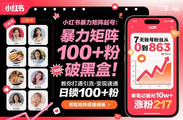 小红书暴力矩阵起号，教你打通引流-变现速通，日锁100+粉，破流量黑盒-老K资源网