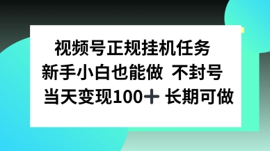视频号正规挂播任务，有手就行不违规，轻松日入1张-老K资源网