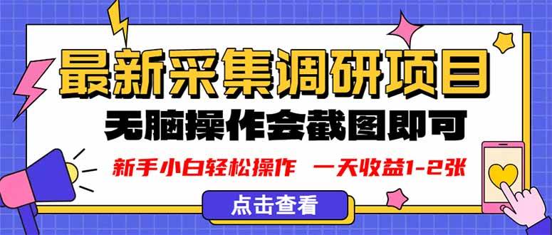 （16155期）新版采集调研项目，截图上传即可，无脑操作，日收益1-2张-老K资源网