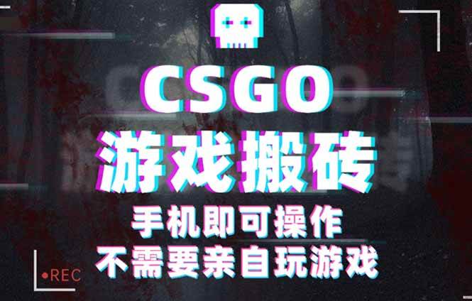 （16090期）CSGO游戏挂机捡漏，单日扫货500+，年底小高峰上车可吃肉，手机即可操作…-老K资源网