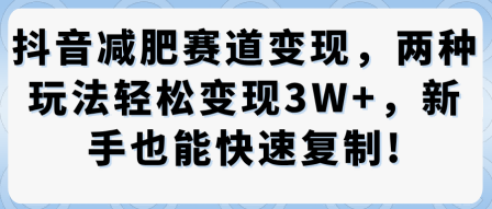 抖音减肥赛道变现，两种玩法轻松变现3W+，新手也能快速复制-老K资源网