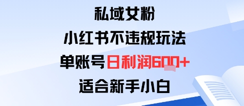 私域女粉：小红书平台不违规玩法单账号日利润6张+适合新手小白-老K资源网