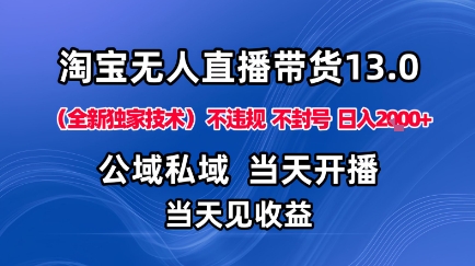 淘宝无人直播13.0，公域私域技术，不封号，不违规布局下半年旺季赛道，日入1K+（独家技术）【揭秘】-老K资源网