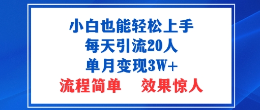 小白也能轻松上手的宝妈项目，每天引流20人，单月变现3W+，流程简单，效果惊人-老K资源网