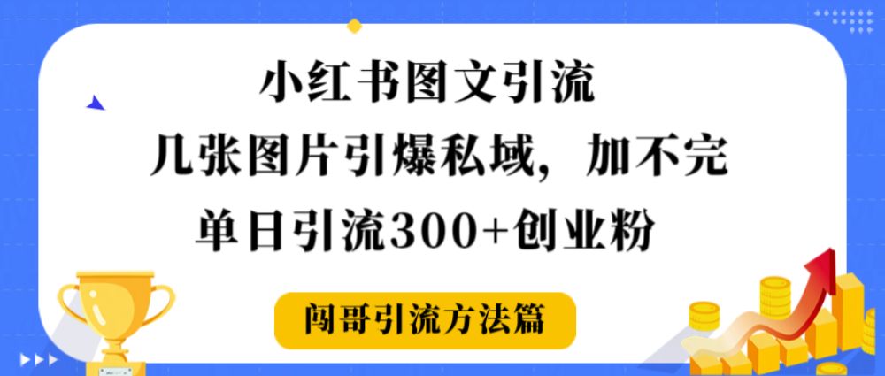 小红书图文引流，几张图片引爆私域加不完，单日引流300＋创业粉-老K资源网