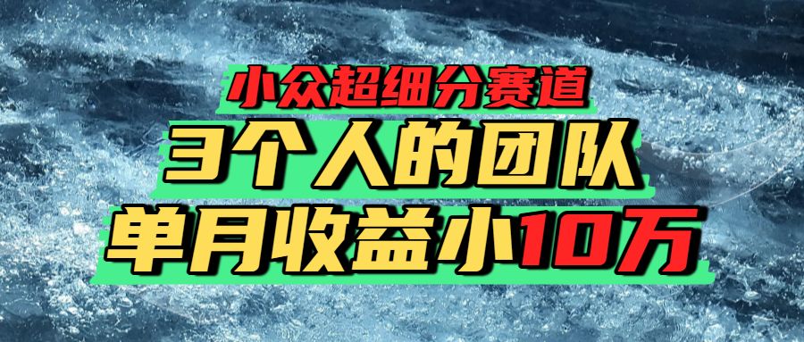小众超细分赛道，一年百万利润的盘子！-老K资源网