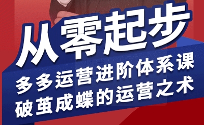 拼多多运营进阶系统课，从零起步，多多运营进阶体系课，破茧成蝶的运营之术（更新9月）-老K资源网