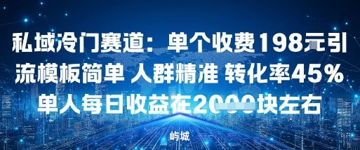 私域冷门赛道：单个收费198米引流模板简单人群精准转化率45%单人每日收益在1k+-老K资源网
