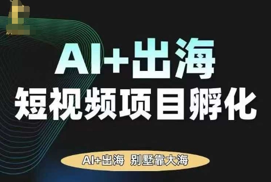 AI·TikTok AI+出海短视频项目孵化，陪你从0-1借助AI实现出海变现-老K资源网