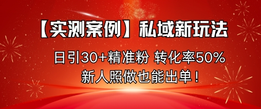 【实测案例】私域新玩法，日引30+精准粉，转化率50%，新人照做也能出单！-老K资源网
