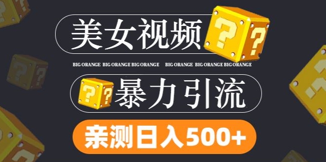 搬运tk美女视频全网分发，日引s粉300+，轻松变现，不限流量不封号-轻创联盟