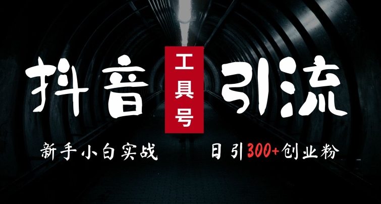2024最新抖音工具号引流玩法，高效日引300+创业粉，当天变现5k，小白也可成为实战高手-轻创联盟