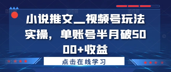 小说推文—视频号玩法实操，单账号半月破5000+收益-轻创联盟
