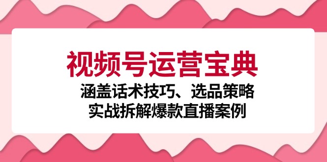 视频号运营宝典：涵盖话术技巧、选品策略、实战拆解爆款直播案例-轻创联盟