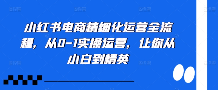 小红书电商精细化运营全流程，从0-1实操运营，让你从小白到精英-轻创联盟