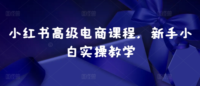 小红书高级电商课程，新手小白实操教学-轻创联盟