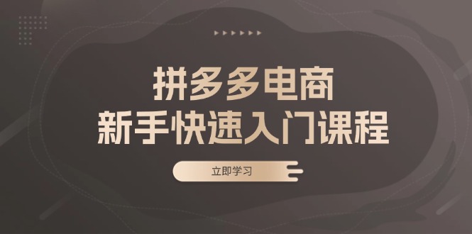 拼多多电商新手快速入门课程：涵盖基础、实战与选款，助力小白轻松上手-轻创联盟