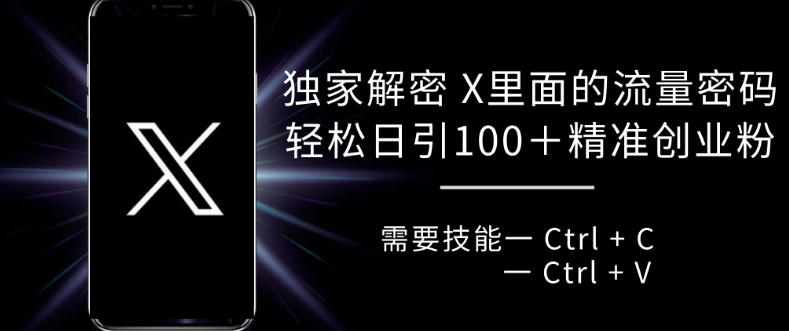 独家解密 X 里面的流量密码，复制粘贴轻松日引100+-轻创联盟
