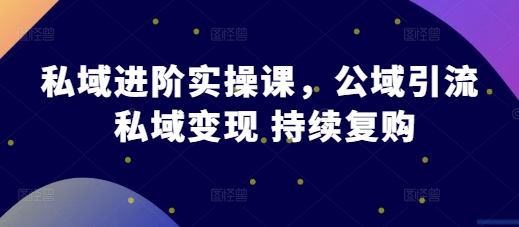 私域进阶实操课，公域引流 私域变现 持续复购-轻创联盟