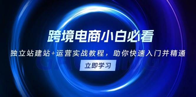 跨境电商小白必看！独立站建站+运营实战教程，助你快速入门并精通-轻创联盟