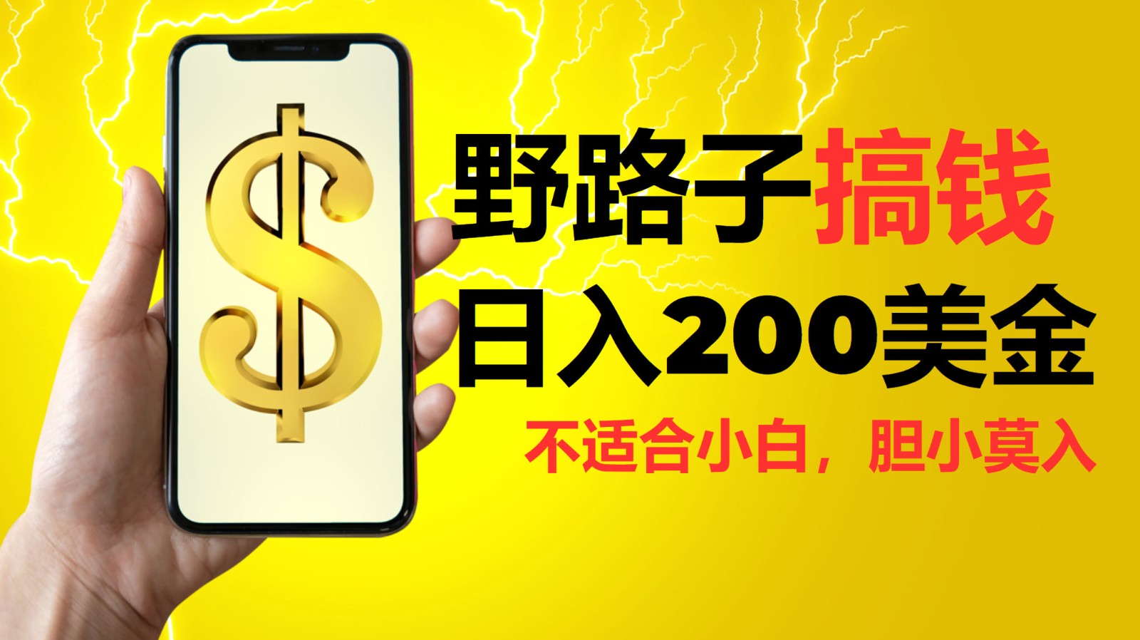挂机野路子搞钱，日入200美金，路子很野，小白莫入-轻创联盟