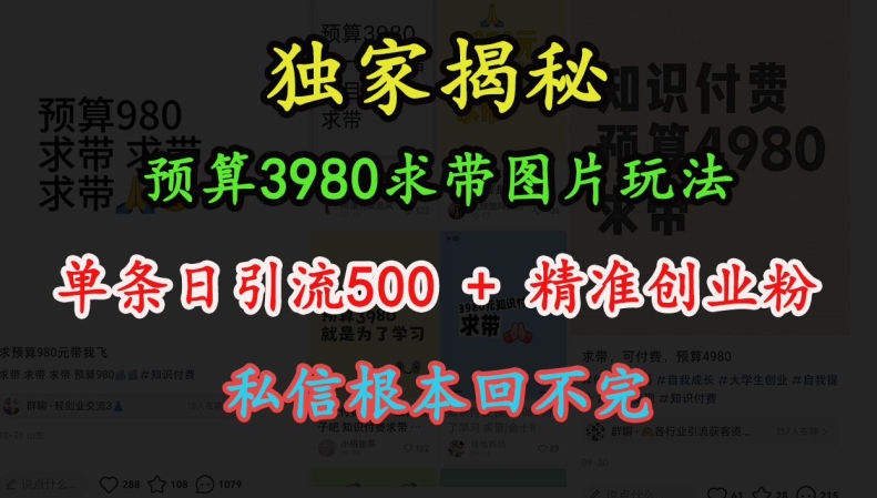 预算3980求带 图片玩法，单条日引流500+精准创业粉，私信根本回不完-轻创联盟