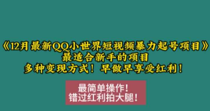 12月最新QQ小世界短视频暴力起号项目，最适合新手的项目，多种变现方式-轻创联盟