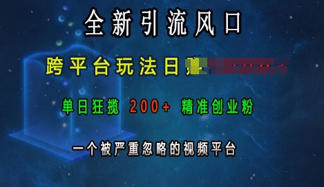 全新引流风口，跨平台玩法日入上k，单日狂揽200+精准创业粉，一个被严重忽略的视频平台-轻创联盟